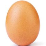 world record egg