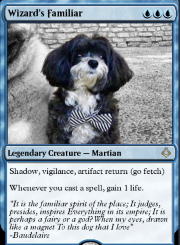 Elon Musk Dog